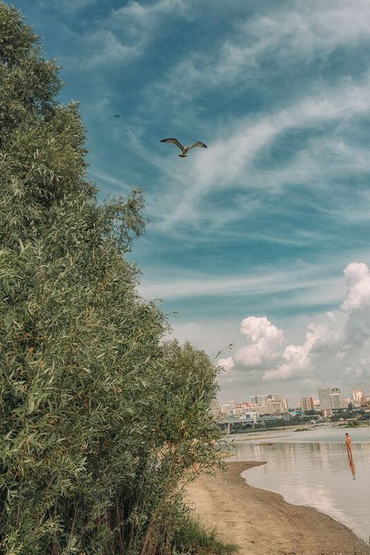 Новосибирск Обь правый берег Взгляд на правый берег Новосибирскаphoto preview