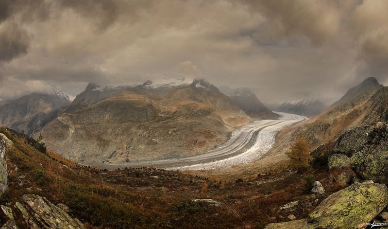 swiss Алечphoto preview