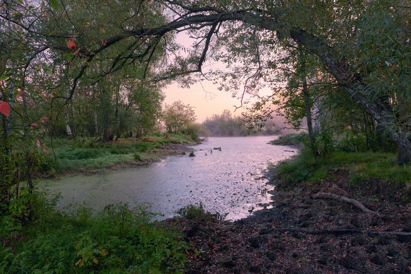 Полог ... фото превью