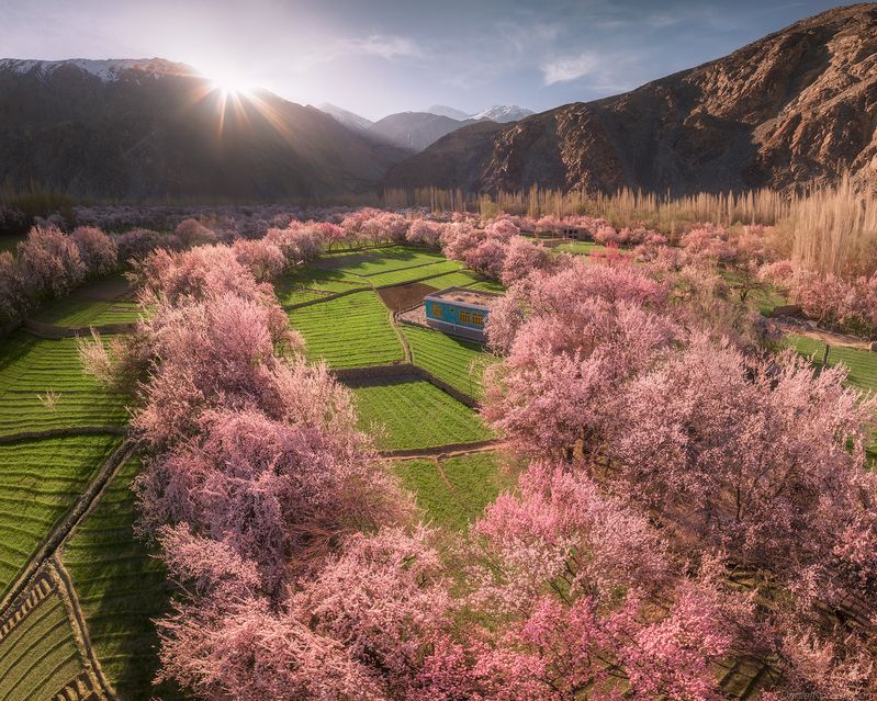 Pakistanphoto preview