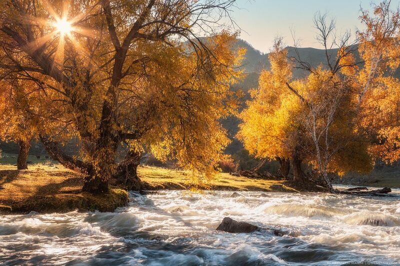 алтай, горы, озеро, природа, рассвет, солнце, облака, пики, снег, отражение, рябь, тишина, гладь, вода, небо, свет, линии, треккинг, путешествия Большой Ильгуменьphoto preview