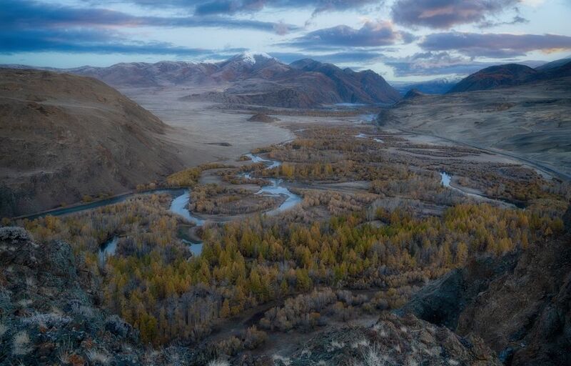 алтай горы лес утро пейзаж красивый лиственница Перед рассветомphoto preview
