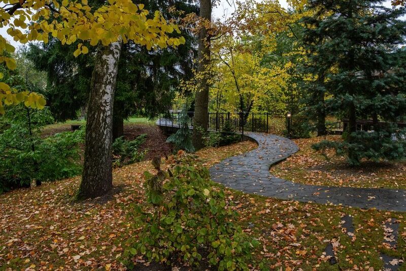 Осенние зарисовки во двореphoto preview