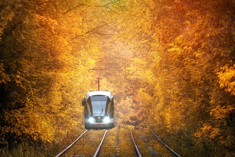 сокольники, москва, трамвай, осень Осень. Сказка. Трамвайчик. фото превью
