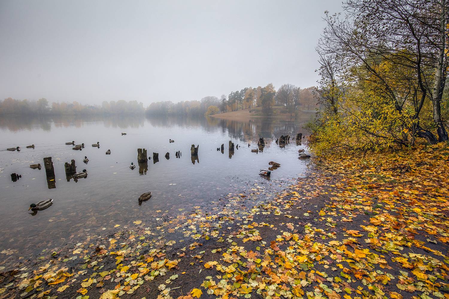 , Aleksandr Mihailov