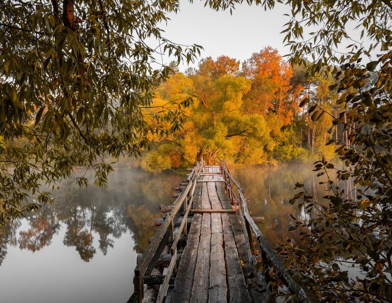 Яркие краски осени в поселке Окуневоphoto preview