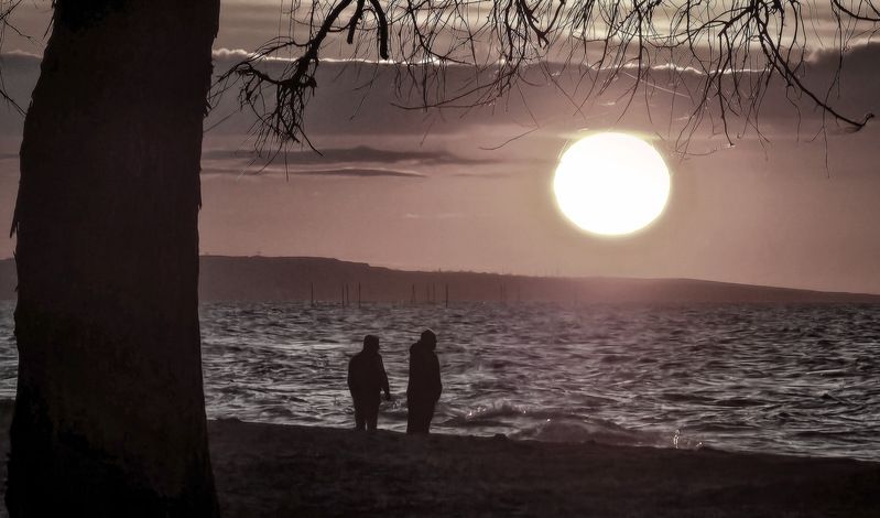 большие надеждыphoto preview