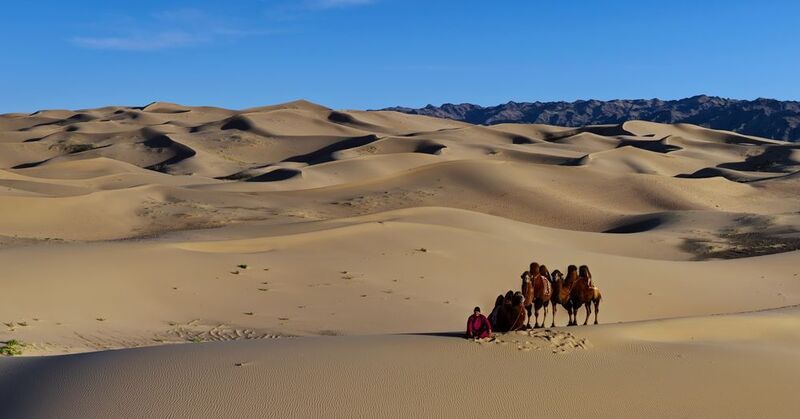 Притомились однако...photo preview