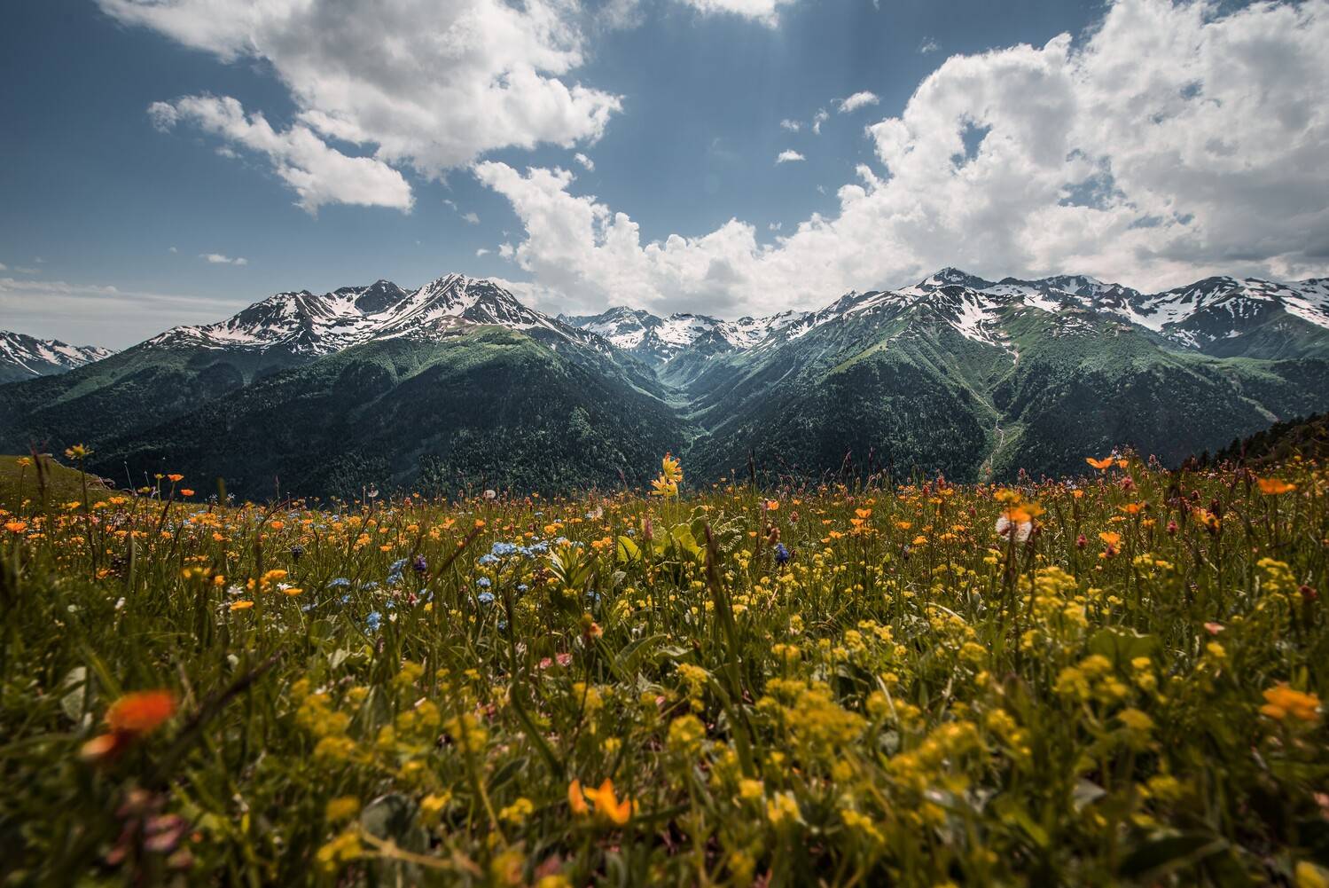 , Дмитрий Величко