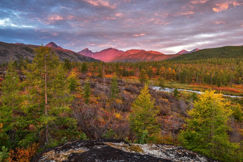 Озеро Джека Лондона  Розовые воспоминания... photo preview