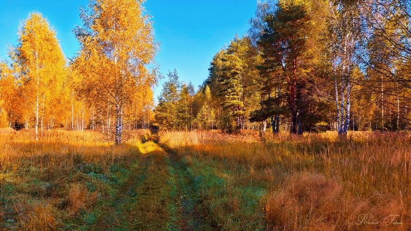 Костромской край.photo preview