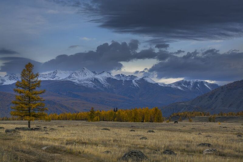 россия, горный алтай, степь, утро, осень Утро в степиphoto preview