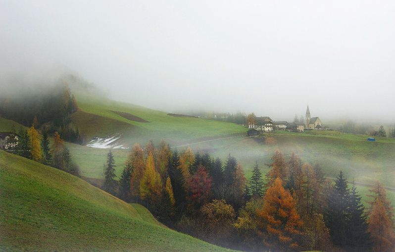 Туманы Одуванчиковой долиныphoto preview