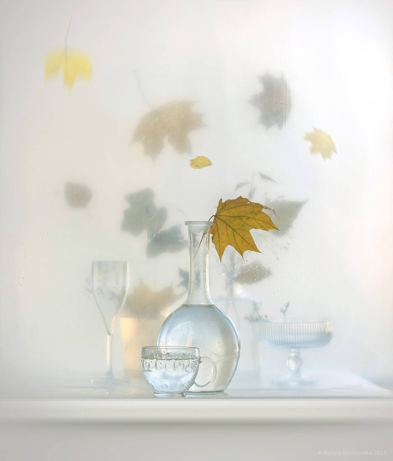 , Шипунова Ирина