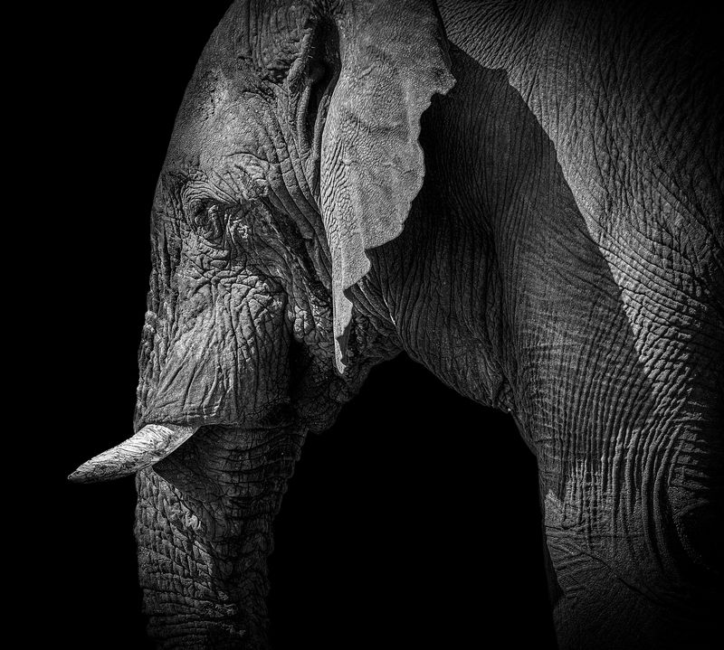 Намибийские истории...photo preview