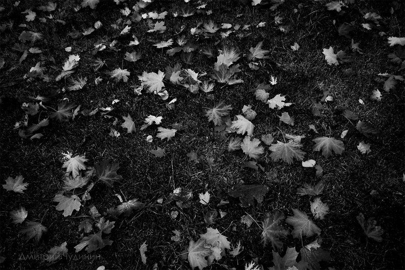 Осень фото превью