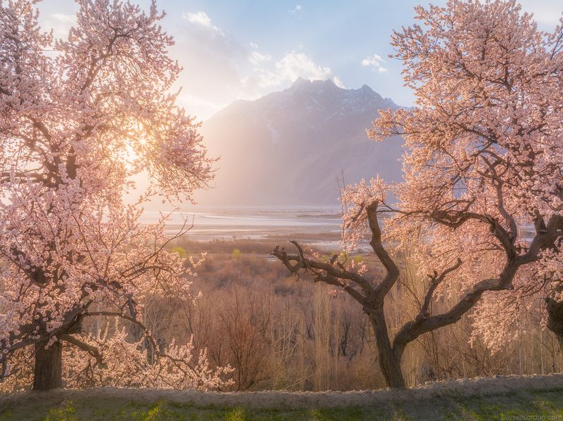 Pakistanphoto preview