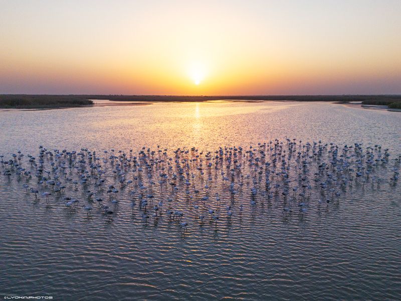 Озеро Фламинго фото превью