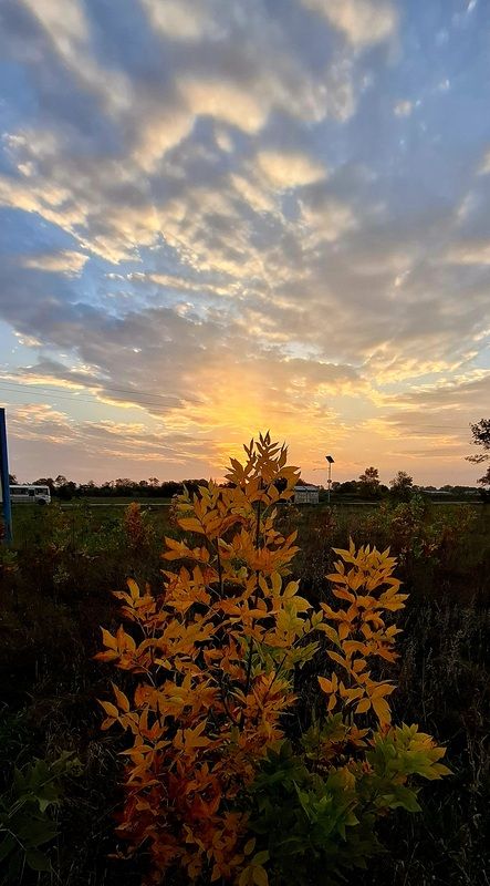 краснодарский край, рассвет, осень октябрь Краски осениphoto preview