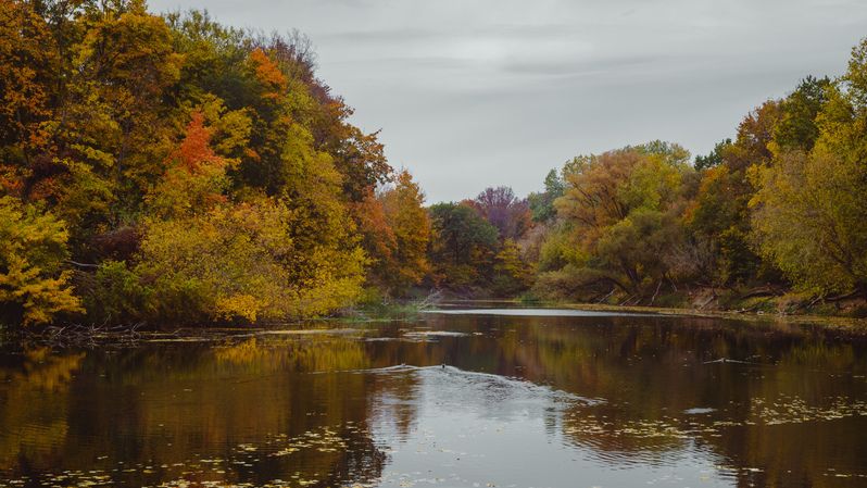 Осеньphoto preview