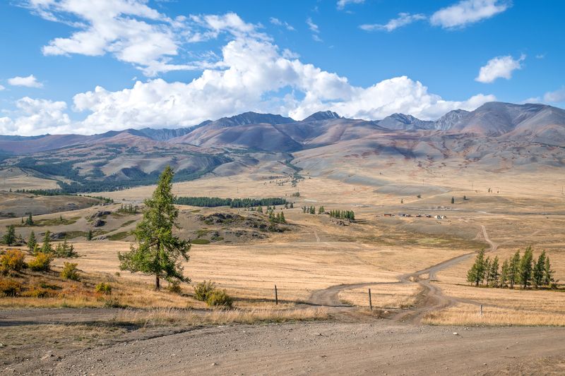 алтай, горы, природа, nikon, россия Алтайские этюдыphoto preview