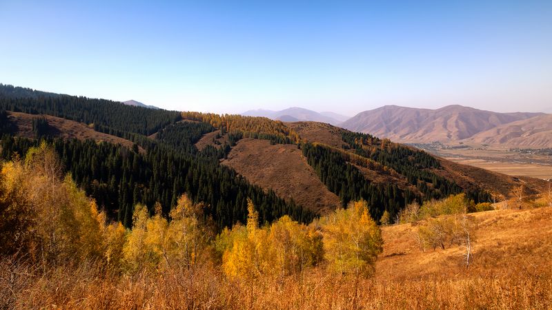 кыргызстан, чон-кемин Аккорды осениphoto preview