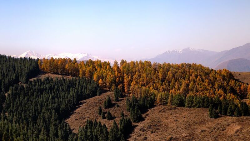 кыргызстан, чон-кемин Аккорды осениphoto preview
