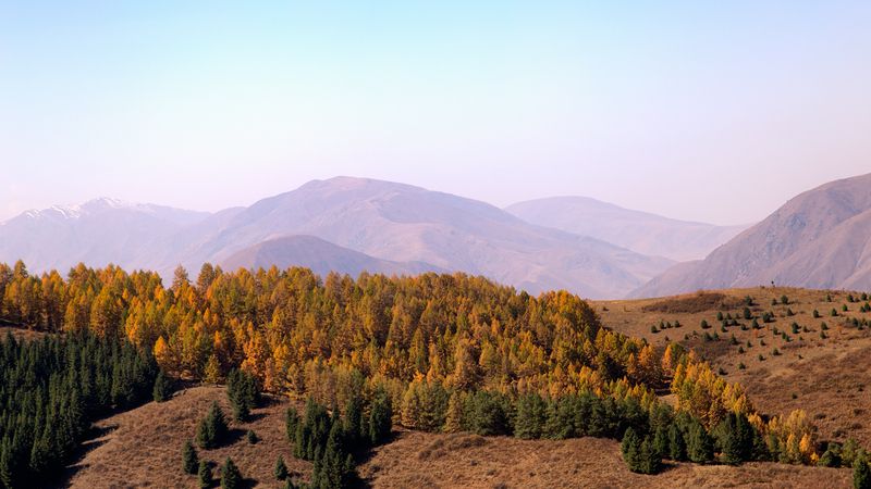 кыргызстан, чон-кемин Аккорды осениphoto preview
