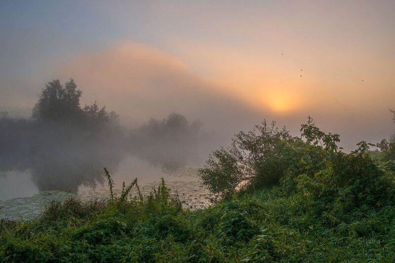 осень утро озеро туман природа пейзаж Утро на озере.photo preview