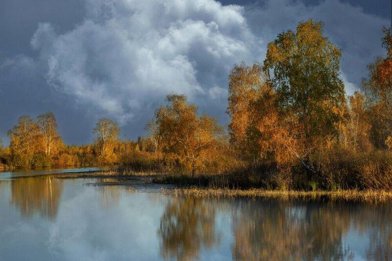 Остров берез.photo preview