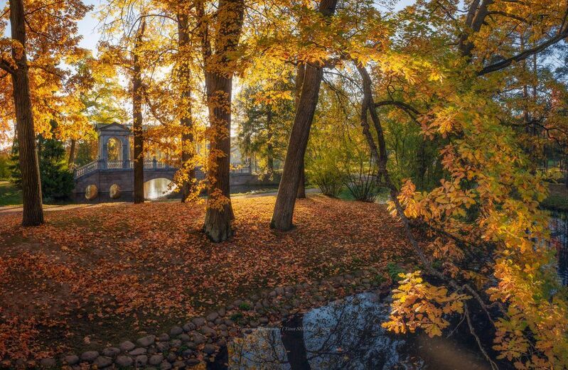питер, пушкин, царское село, царское,  landscape, tsarskoye selo, autumn,  городской пейзаж, санкт-петербург, рассвет Царское Село - welcomephoto preview