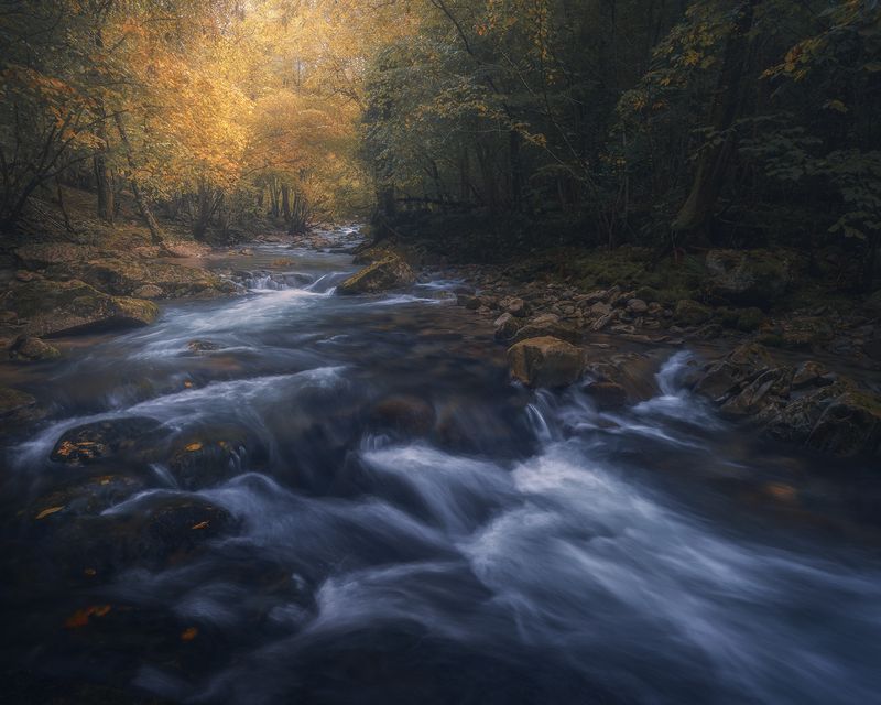 The Flow of Silencephoto preview