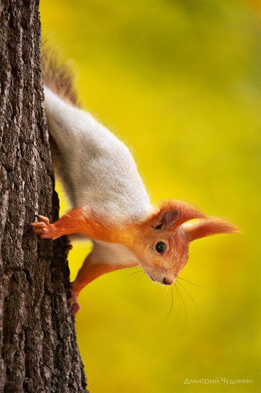 Ветренно фото превью