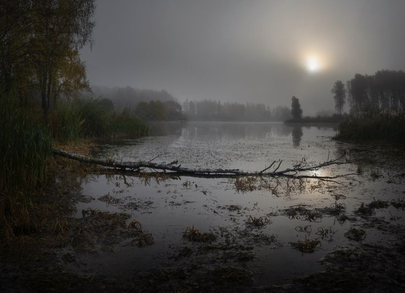 лес, свет,утро, природа, рассвет ***photo preview