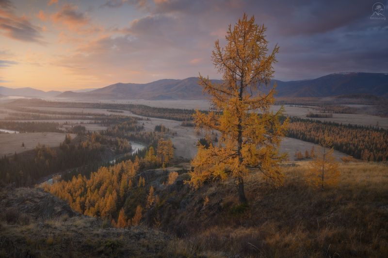алтай, фототур по алтаю, осень, горы, горный алтай, республика алтай, кош-агач, осенний фототур на алтай Взгляд в степьphoto preview