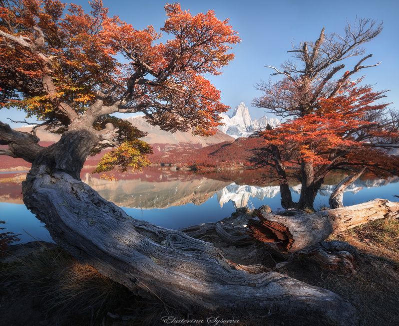 Патагонияphoto preview