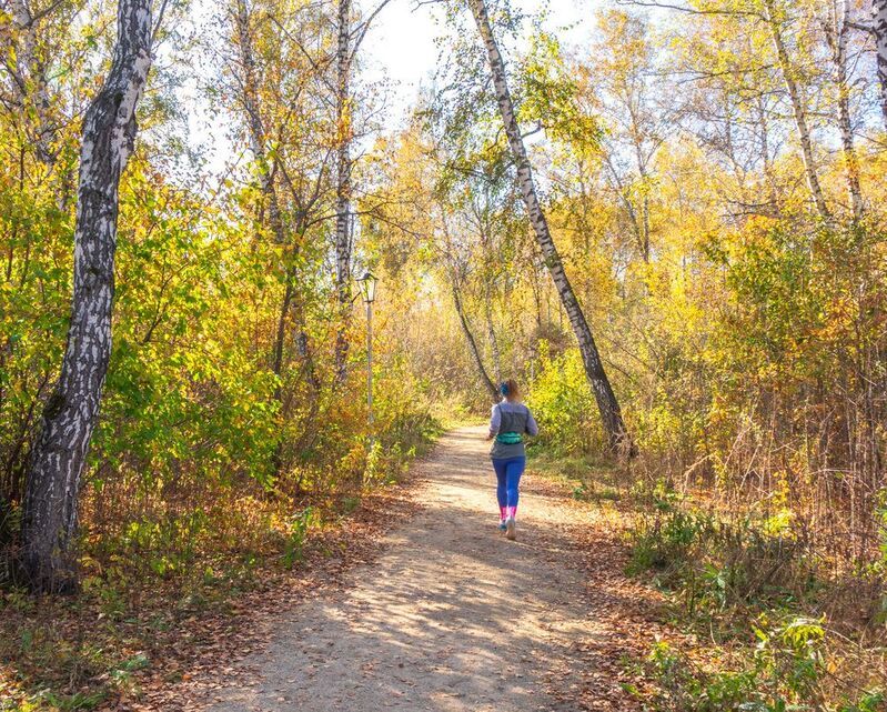 осенний эко-паркphoto preview
