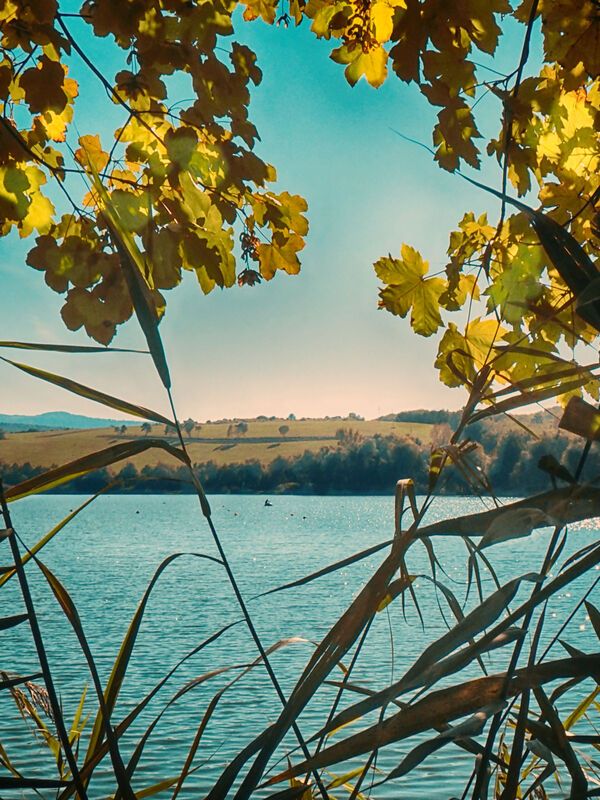 Autumn is herephoto preview