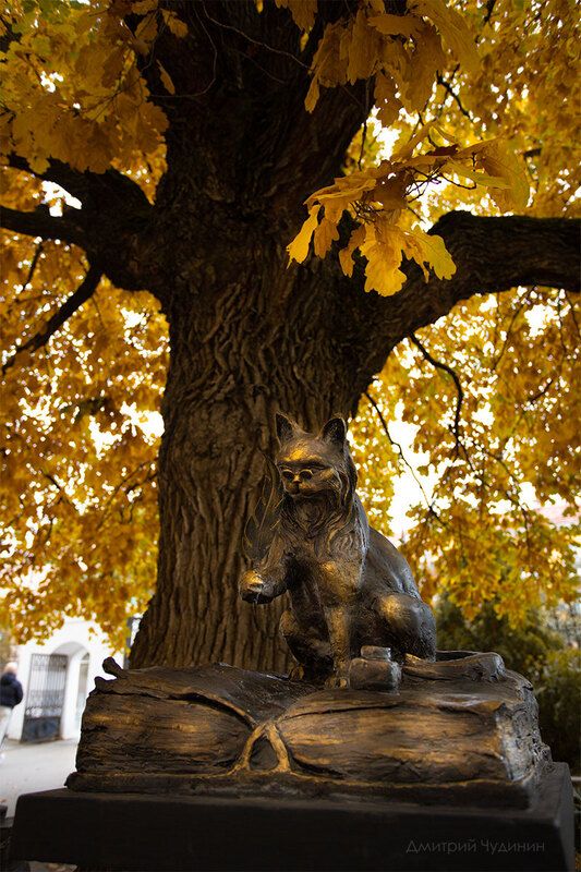 Кот учёный фото превью