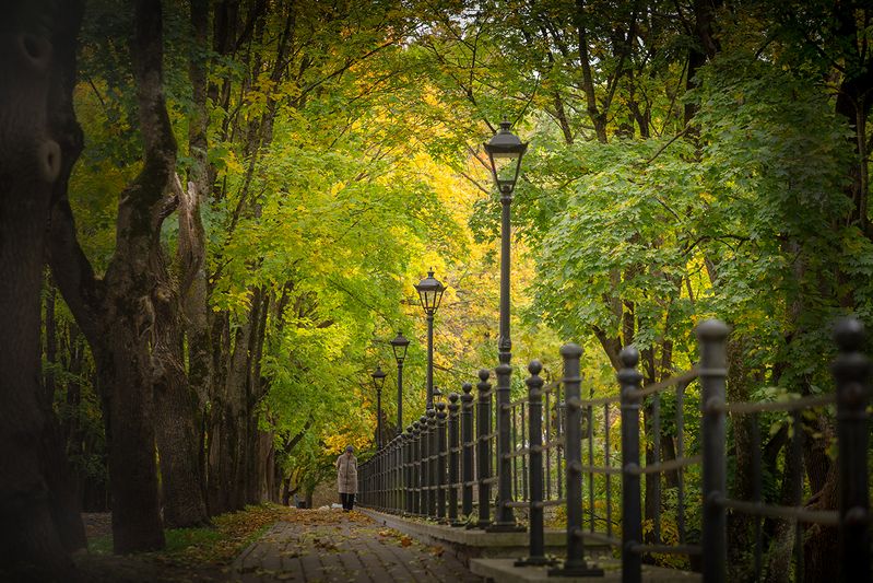 нарва осень октябрь темный сад 9 октября фото превью