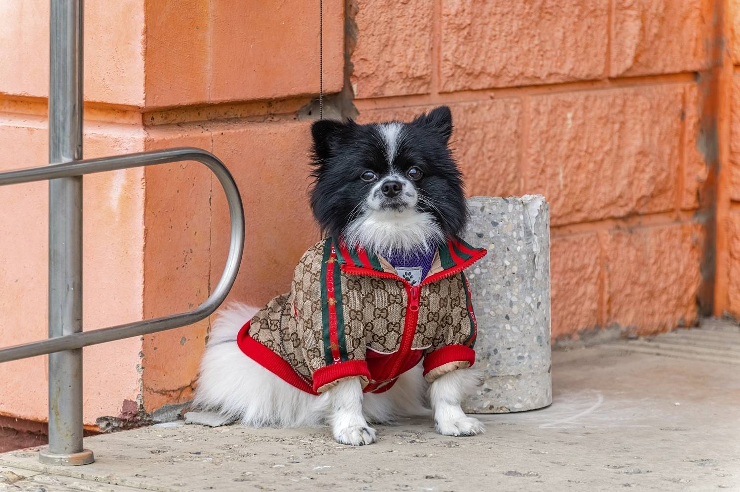 Пора утепляться. Автор: Valeriy , Valeriy