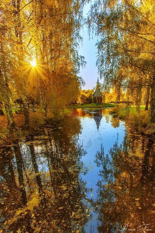 Костромской край.photo preview