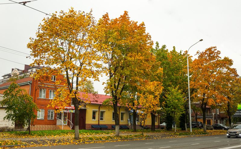 улочки города .photo preview
