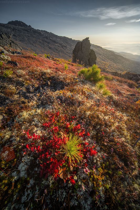 урал, фототур, осень, север Осень на Северном Уралеphoto preview