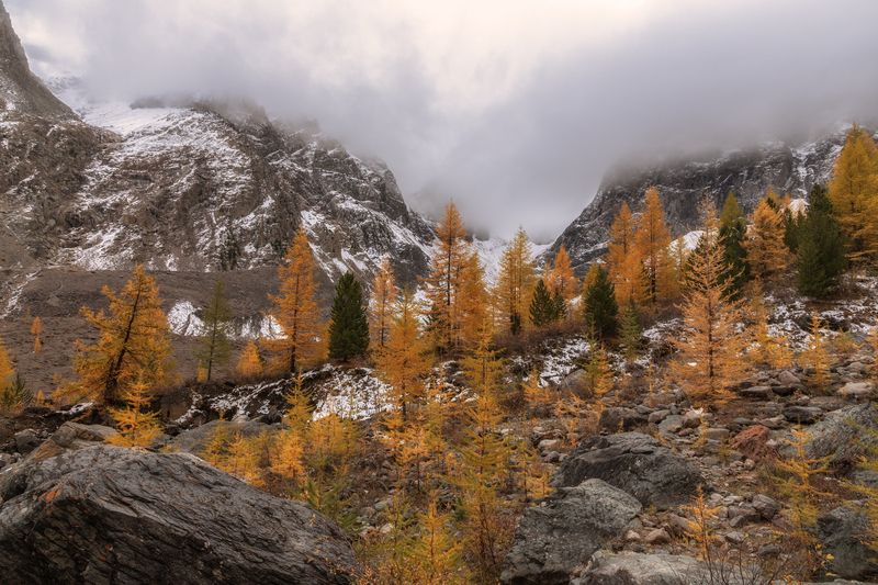 Алтай Туманная Актруphoto preview