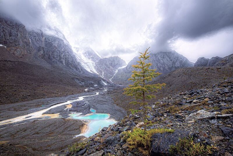 Актруphoto preview