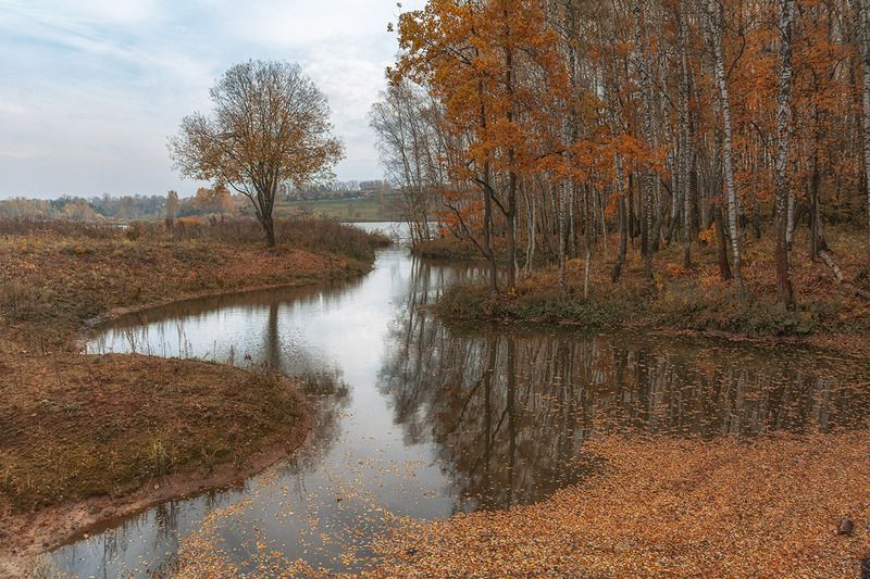 Листопад.photo preview