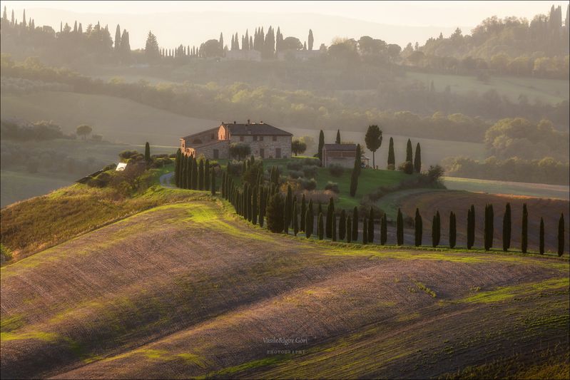 italy,crete senesi,italia,италия,тоскана,кипарис,toscana,осень,tuscany,cipressi,belvedere,asciano,тени,podere baccoleno,rural Дымка у Подере Бакколеноphoto preview