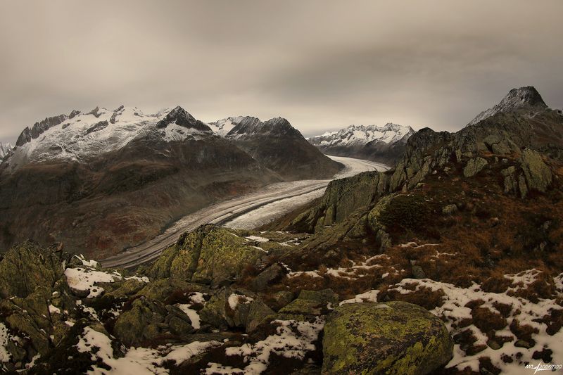 swiss Алечphoto preview