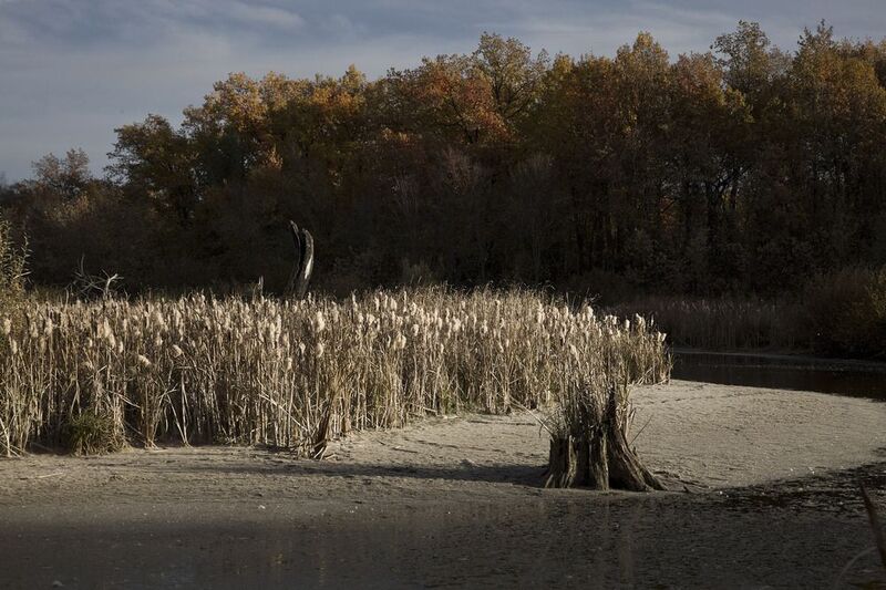 золотая осень Октябрьphoto preview